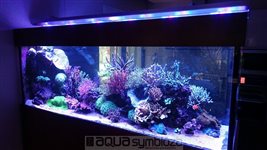Morské akvárium 1050L, rozmery 200x70x75cm